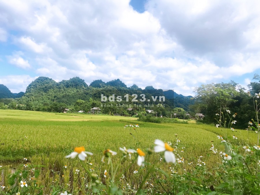 Cần bán lô đất diện tích sử 1257m2 có 400m thổ cư tại Tân Lạc Hòa Bình lh 0833066663