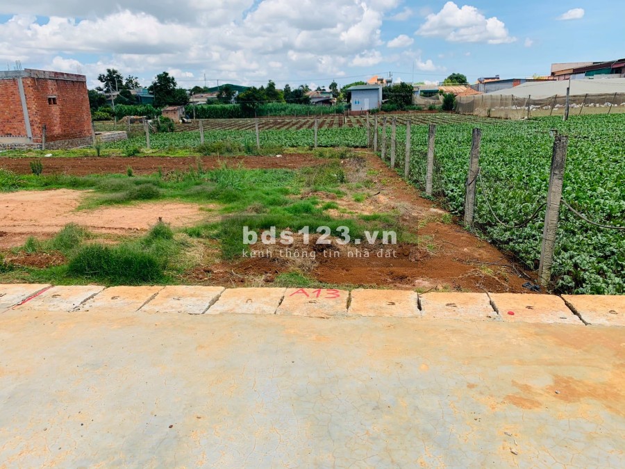 Đất nền Đơn Dương Lâm Đồng chính chủ giá F0 chỉ từ 577tr, sổ riêng, công chứng trong ngày
