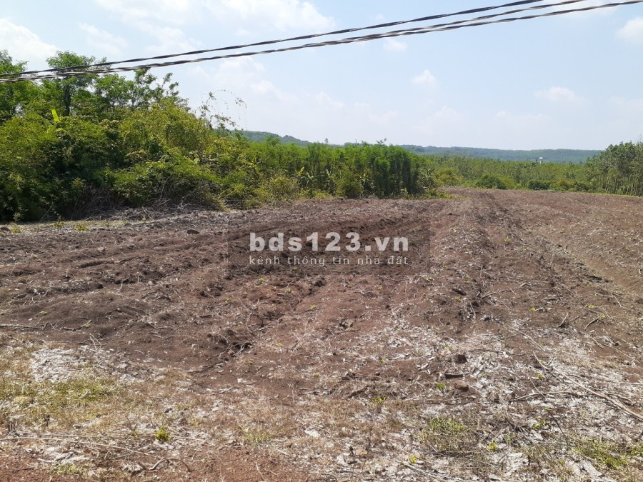 Bán đất gấp 1425.5m² tại Bình Phước giá 350 triệu.