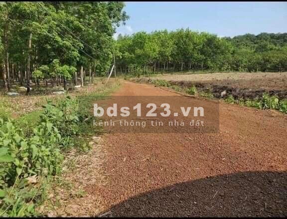 Bán đất gấp 1425.5m² tại Bình Phước giá 350 triệu.