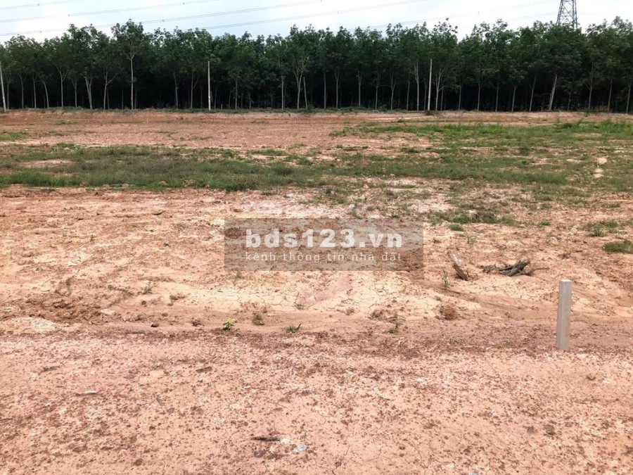Tôi cần bán miếng đất ông bà cho vừa tách sổ gần khu công nghiệp Bình Dương