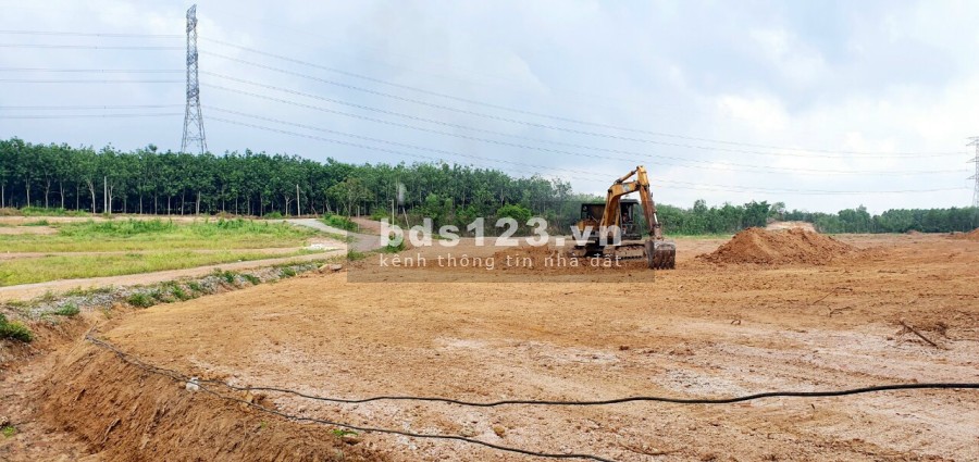 Tôi cần bán miếng đất ông bà cho vừa tách sổ gần khu công nghiệp Bình Dương