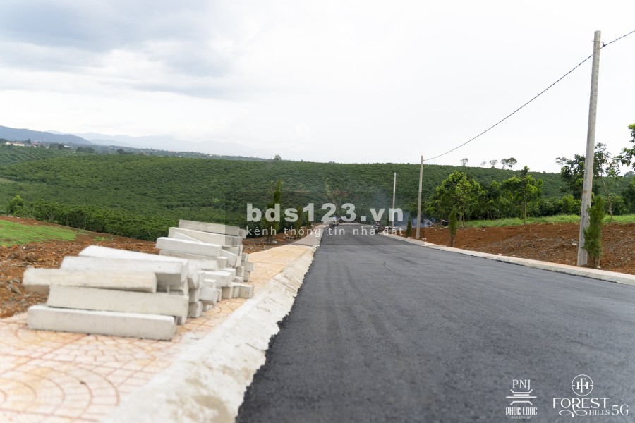 Đất thổ cư tại Lộc Đức, Bảo Lâm giá chỉ từ 550tr/nền view thung lũng sổ sẵn công chứng liền tay