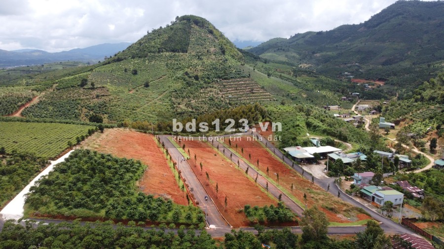 Siêu phẩm nghỉ dưỡng phong cách Nhật Ogimi Village Bảo Lộc đã có sổ riêng từng nền