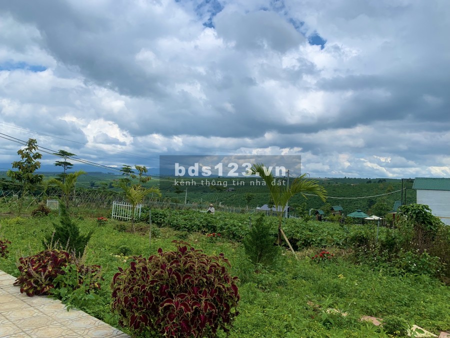 Bán lô đất sau chợ khu 6, 7x25m hai mặt tiền đường nhựa 6m, giá đầu tư 900tr