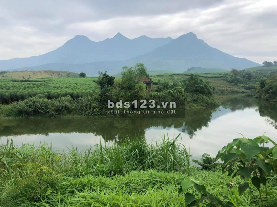 Bán nhanh 1800m2 bám hồ, bám đường lớn giá rẻ hơn đất Hòa Bình tại Minh Quang Ba Vì