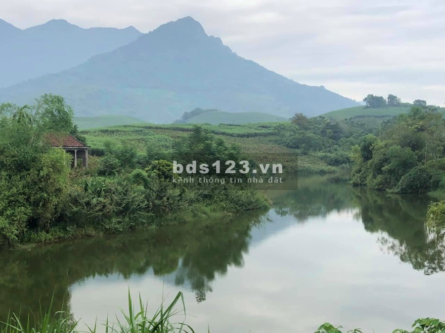 Bán nhanh 1800m2 bám hồ, bám đường lớn giá rẻ hơn đất Hòa Bình tại Minh Quang Ba Vì