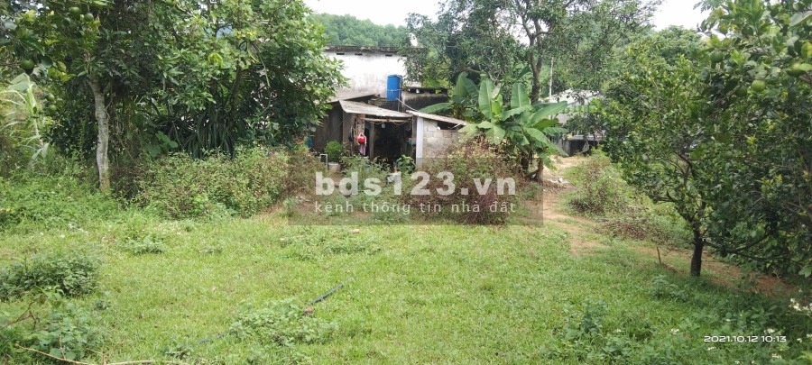 Bán gấp siêu phẩm ở thành phố Hoà Bình rộng 3,8ha có ONT và sẵn 2 ao cá giá tốt đầu tư