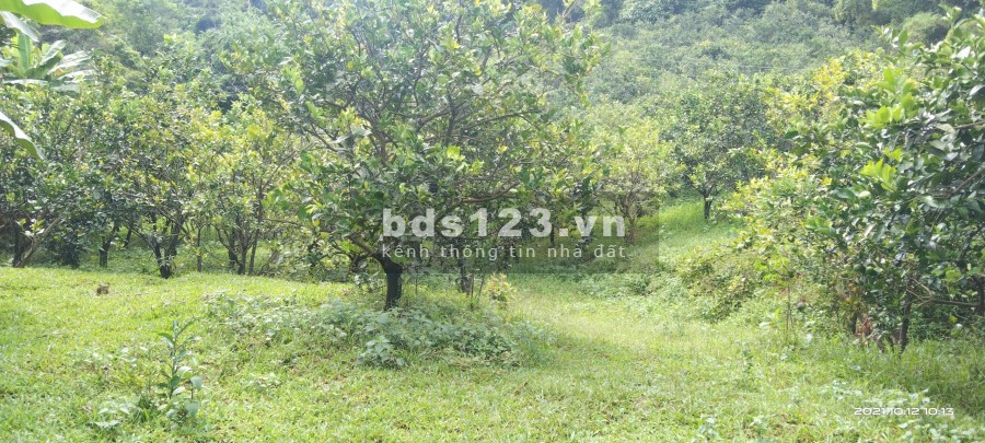 Siêu phẩm có duy nhất gần thành phố S=3.8ha có thổ cư, sẵn nhà, sẵn ao cá giá siêu hot.