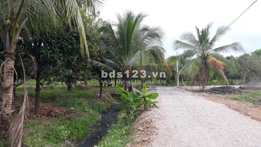Bán lô đất 1000m2 đất vườn trong khu dân cư gần Quốc Lộ 1A, giá bán chỉ 1.3 tỷ, bàn giao ngay
