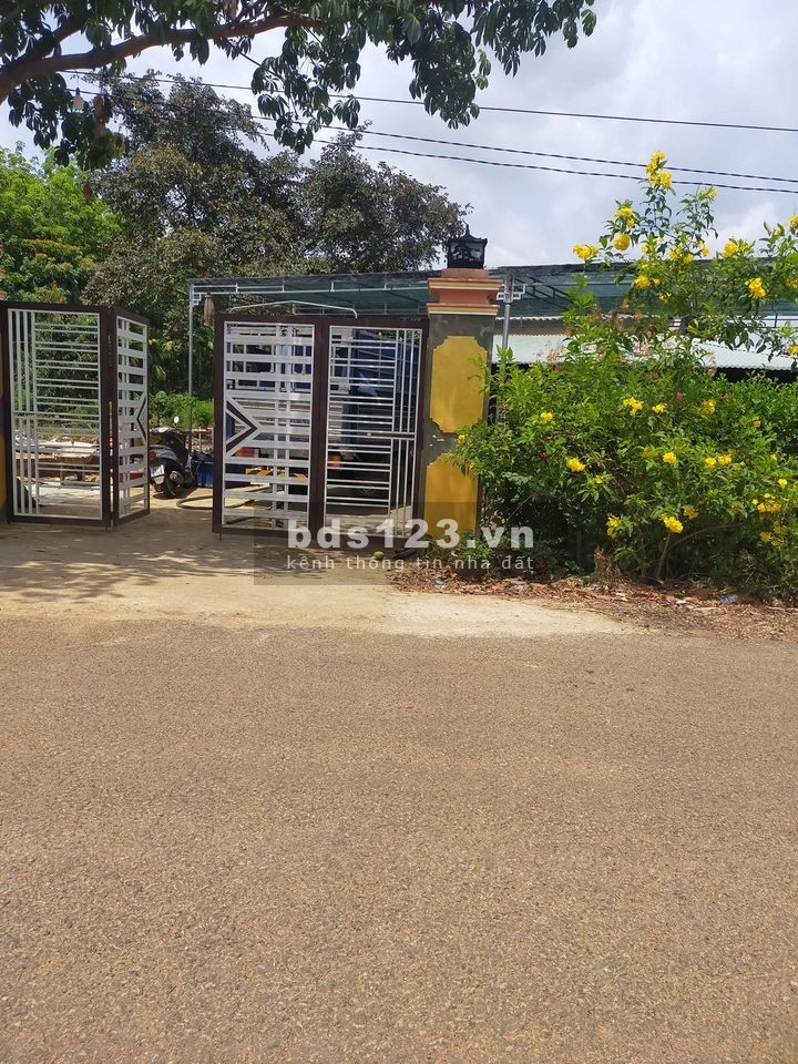 Đất Nền Gía Ngộp Sổ Sẵn Huyện Đồng Phú liên hệ 0389529642, có ngân hàng hỗ trợ đến 60%