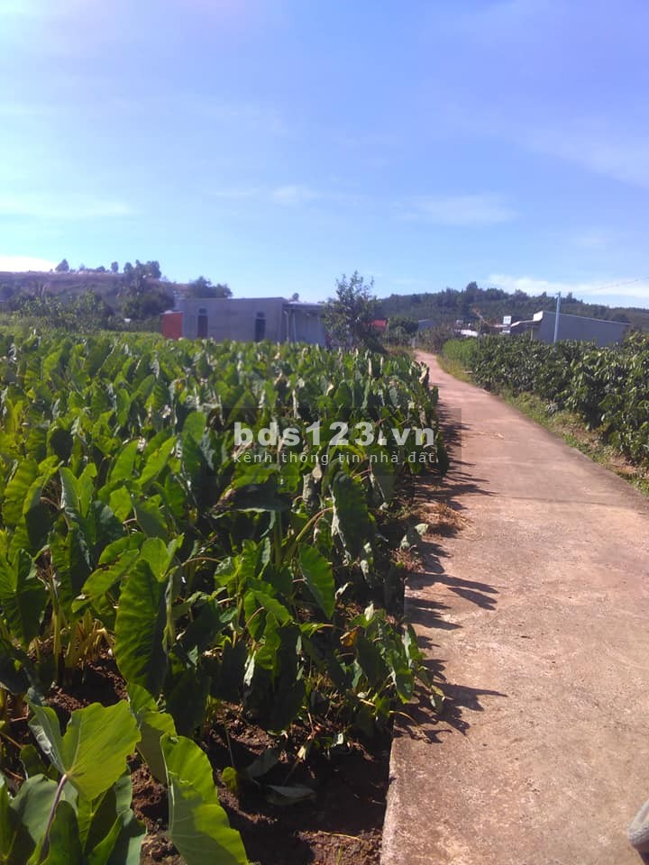 Đất Thị Trấn Nam Ban diện tích sử dụng 500m2, giá bán chỉ 690 triệu, thương lượng