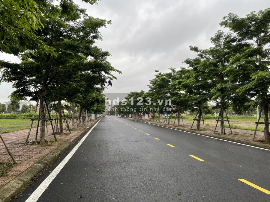 Dự án đất nền tự xây Opus One trung tâm Uông bí – chỉ từ 17tr/m2 đã có sổ đỏ vĩnh viễn