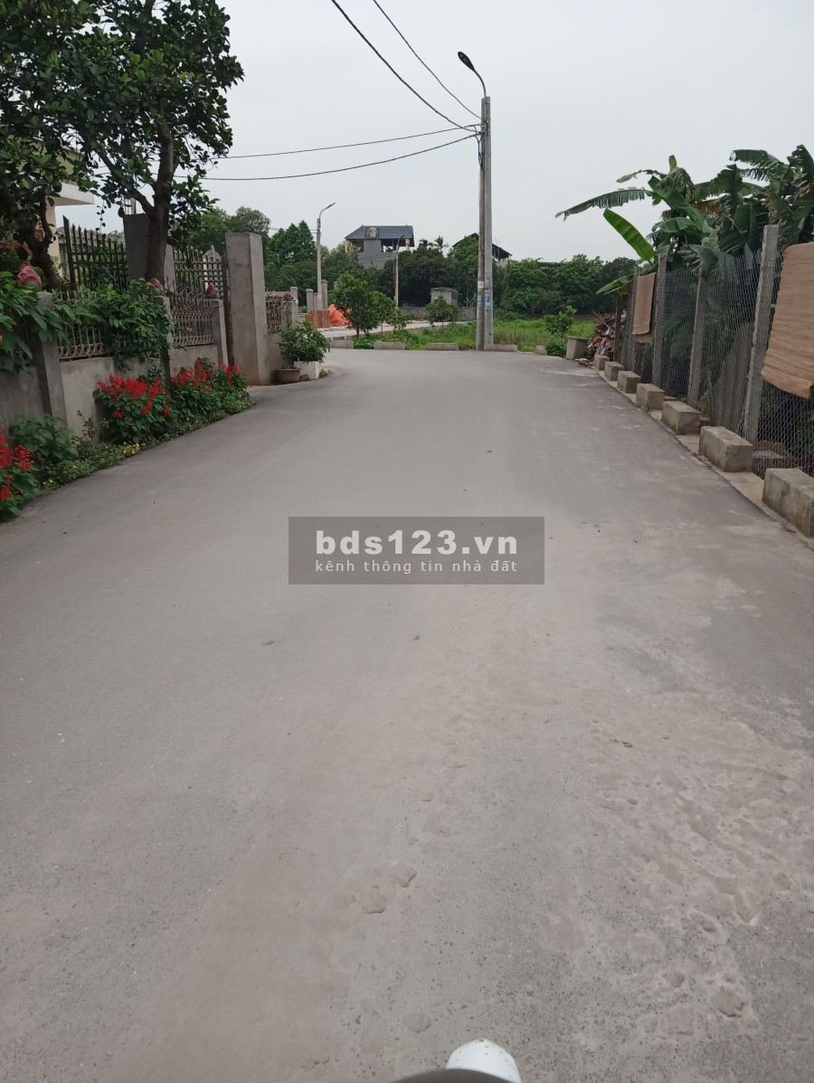 Lô đất 80m2, đấu giá Xanh Tý – Lạc Đạo cực Vip, cực đẹp, cần bán nhanh: lh 0835459289