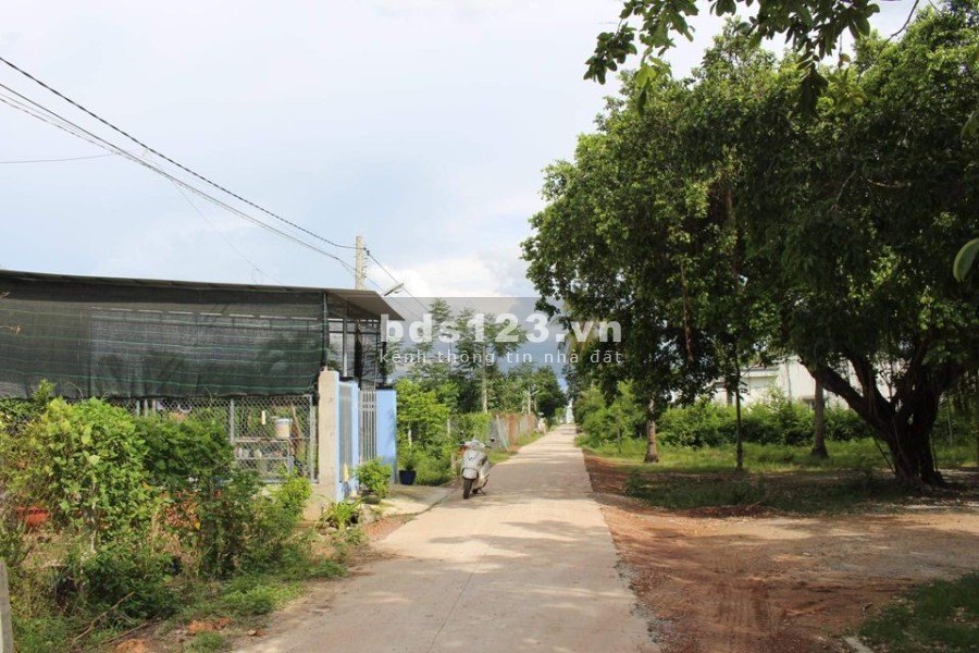 Cần ta gấp đất đẹp thổ cư giá rẻ 295 triệu, liên hệ 086.765.1243 khu dân cư đông đúc, giá tốt