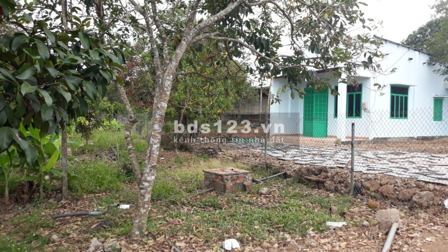 Bán lô đất 1000m2 đất vườn trong khu dân cư gần Quốc Lộ 1A, giá bán chỉ 1.3 tỷ, bàn giao ngay