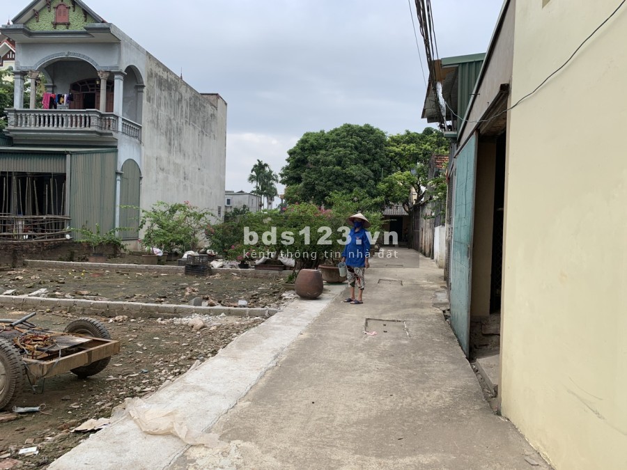  Rẻ 52m2 đất Vân Tảo – Thư Phú Thường Tín, ô tô đỗ cửa, thoáng trước sau