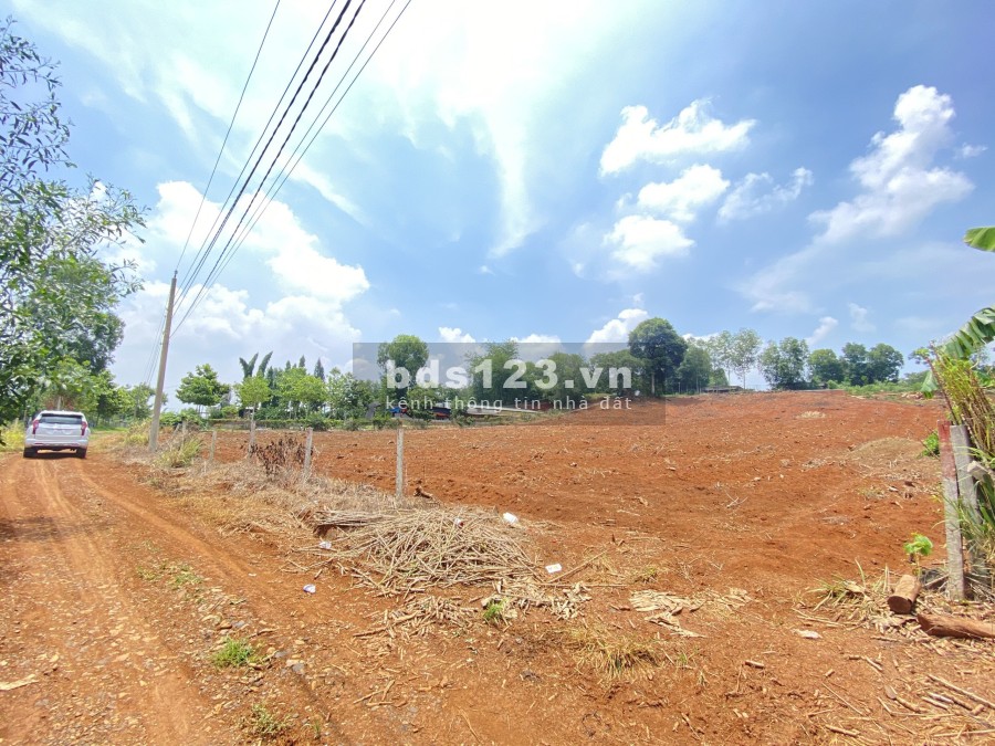 Ngộp, Cần Bán Rẻ Lô Đất Phước Bình Chỉ Với giá bán 12 triệu/m2, giá tốt sổ riêng cầm tay