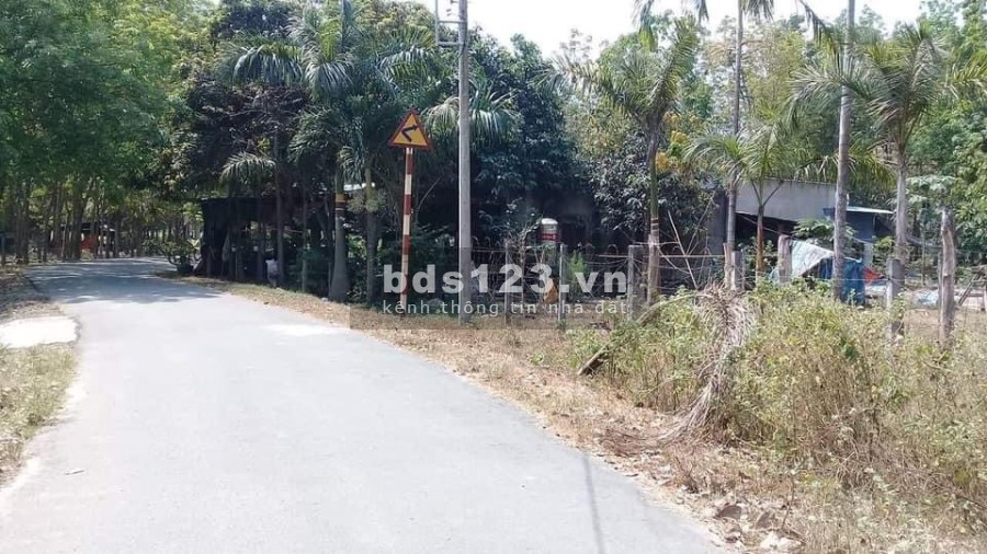 Cần bán đất mặt tiền nhựa 1/ Trương Thị Kiện Thái Mỹ 80x100 9600m2 có 1000 thổ
