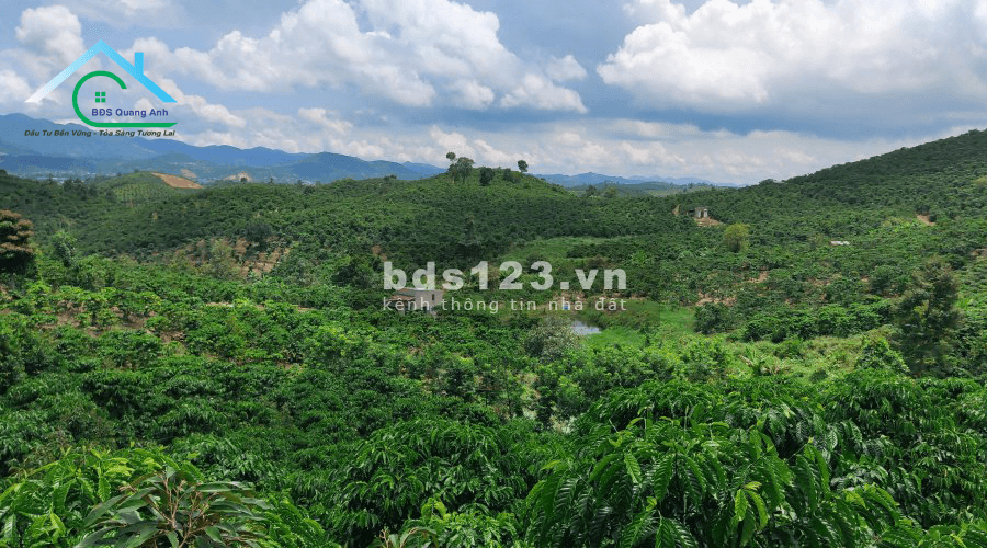Đất Thôn 11 Đại Lào Bảo Lộc, 11.000 m², đường bê tông Ô Tô vào tân nơi.