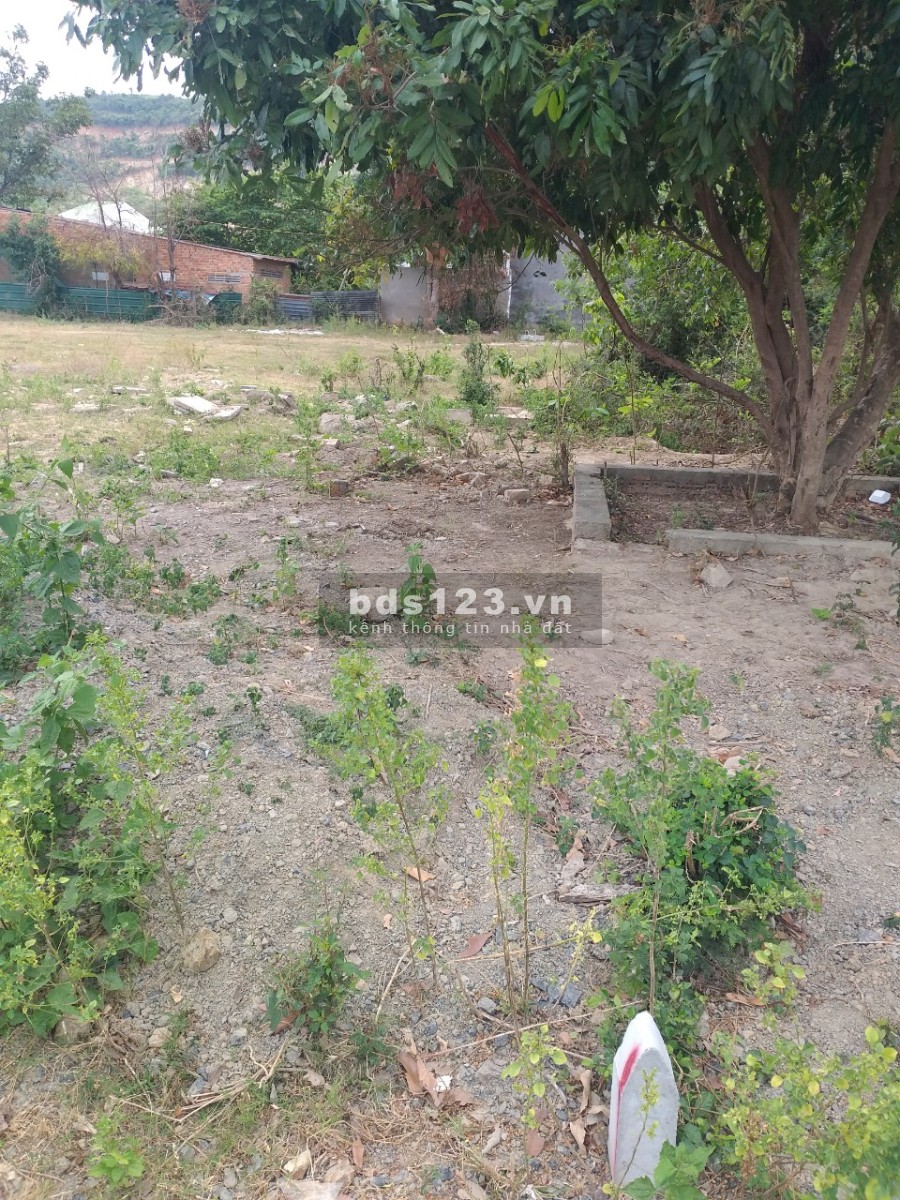 Bán đất khu dân cư xã Phước Đồng Nha Trang giá 650 triệu liên hệ 0344453119