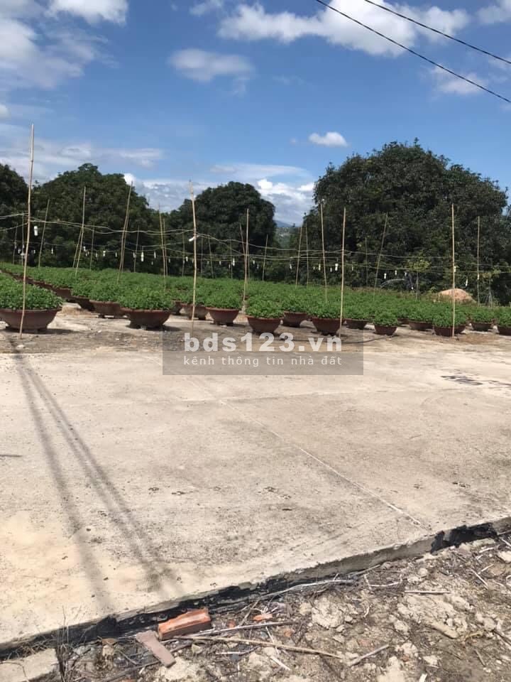 Chỉ với 9.5 triệu/m2 đã có ngay 1 lô đất siêu lợi nhuận, ngân hàng hỗ trợ vay 70% giá trị lô đất