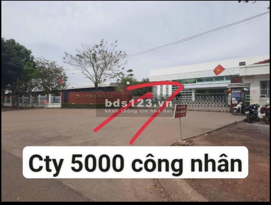 Kẹt tiền bán gấp đất kế bên cty 5000 công nhận đang hoạt động giá 550 triệu, sổ sẵn chính chủ