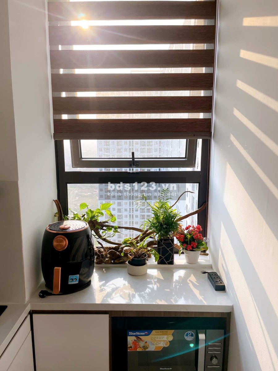 Chính chủ cho thuê chung cư Ecohome 3 2 ngủ giá 5 triệu liên hệ xem nhà 0968767681