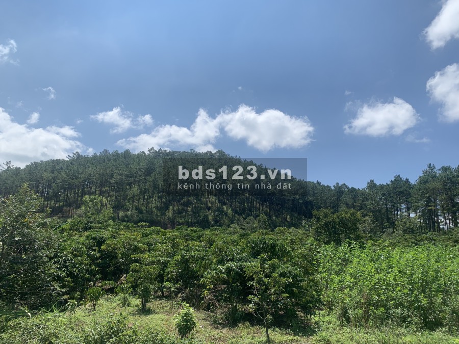 Lô đất diện tích 180m2 đất view đẹp thành phố Bảo Lộc giá 800 triệu lh 0965529082