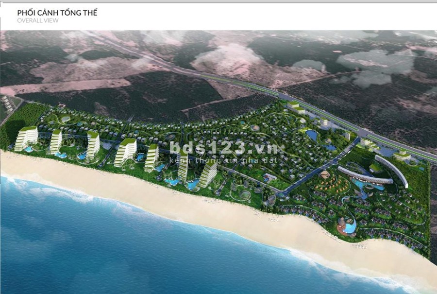 Thành phố mới nhơn hội "miền đất hứa" thu hút đầu tư 699tr