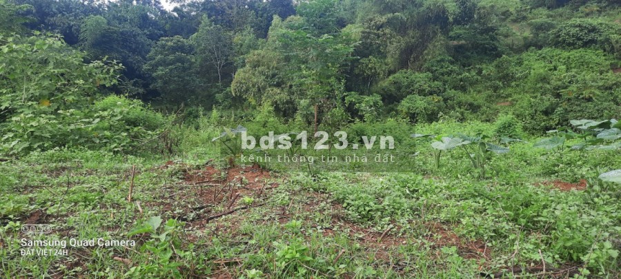 Siêu phẩm view núi non, ruộng bậc thang, có suối cực đẹp ở Lương Sơn