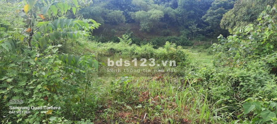 Siêu phẩm view núi non, ruộng bậc thang, có suối cực đẹp ở Lương Sơn