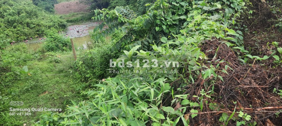 Siêu phẩm view núi non, ruộng bậc thang, có suối cực đẹp ở Lương Sơn