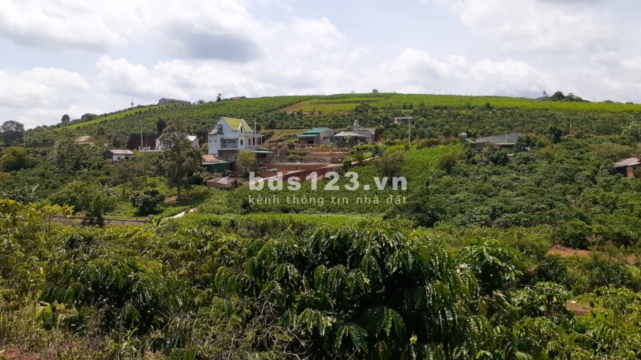 Kẹt tiền cần bán miếng đất mặt tiền đường Lý Thường Kiệt Bảo Lộc gần ngã tư chợ Lộc Quảng
