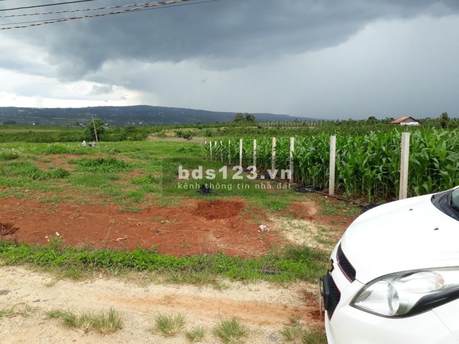 Bán Nhanh Lô 600 M2 Đất Ven Suối Cam Ly, Nam Ban, Lâm Đồng, Giá 720 Triệu
