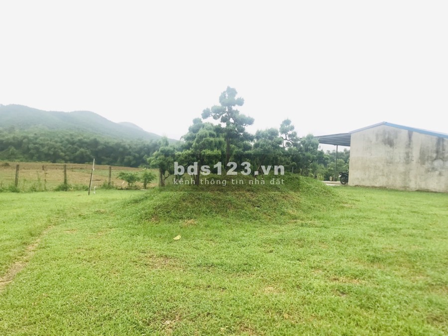 Bán đất bờ sông Bôi, Kim Bôi Hoà Bình, pháp lý rõ ràng tiện ích đủ khu dân cư đông đúc