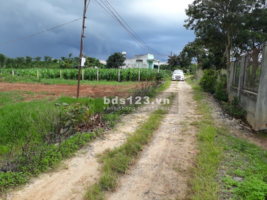 Bán 600 M2 Đất Ven Suối Cam Ly, Nam Ban, Lâm Đồng, Giá 720 Triệu