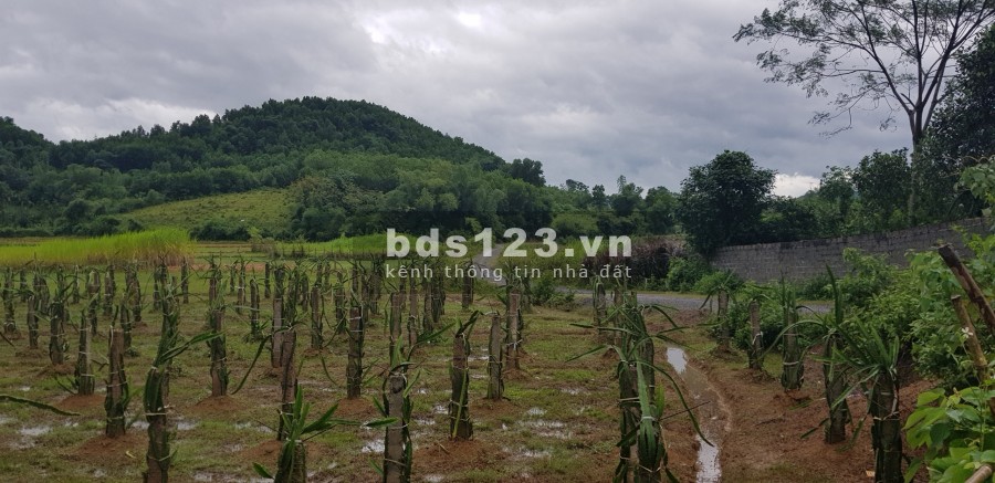 Cần bán lô đất 900m có 200 thổ cư tại Kim Bôi-Hòa Bình liên hệ xem đất 0833066663