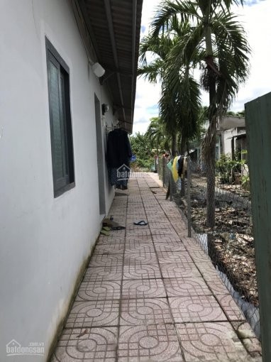 Bán 2 dãy nhà trọ Thị Trấn ĐỨC HÒA 4x22m gồm 5 phòng giá 840tr thu nhập 10tr/tháng SHR