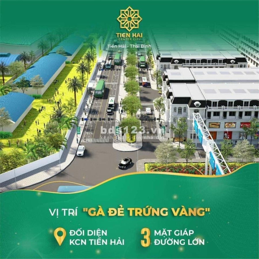 Chỉ 2,1 tỷ sở hữu ngay lô đẹp nhất DA Tiền Hải Center City - Trái Diêm 3, huyện Tiền Hải, Thái Bình