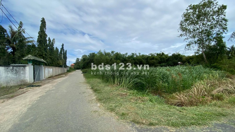 Bán gấp 1000m2 đất ngay ngã 3 cây trôm giao đường 357 xã thái mỹ củ chi 1,3tỷ