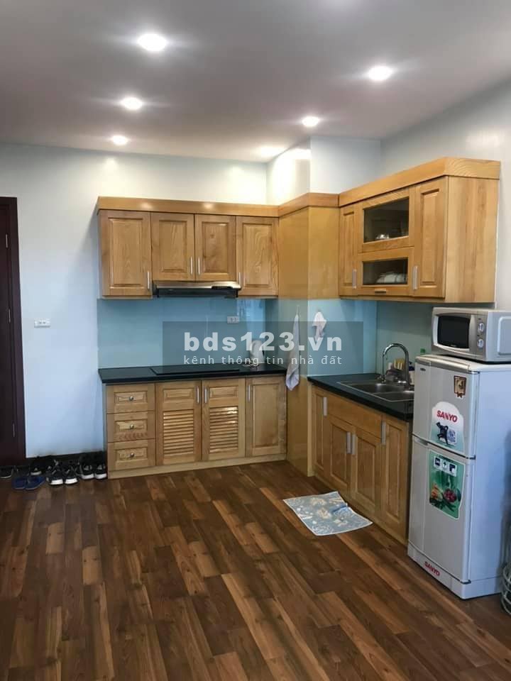 Chính chủ cần sang nhượng căn hộ 50M2 2PN 1WC 1 Lô gia tại PCC1 Complex Hà Đông