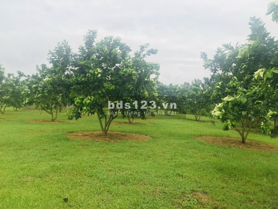 Bán đất bờ sông Bôi, Kim Bôi Hoà Bình, pháp lý rõ ràng tiện ích đủ khu dân cư đông đúc