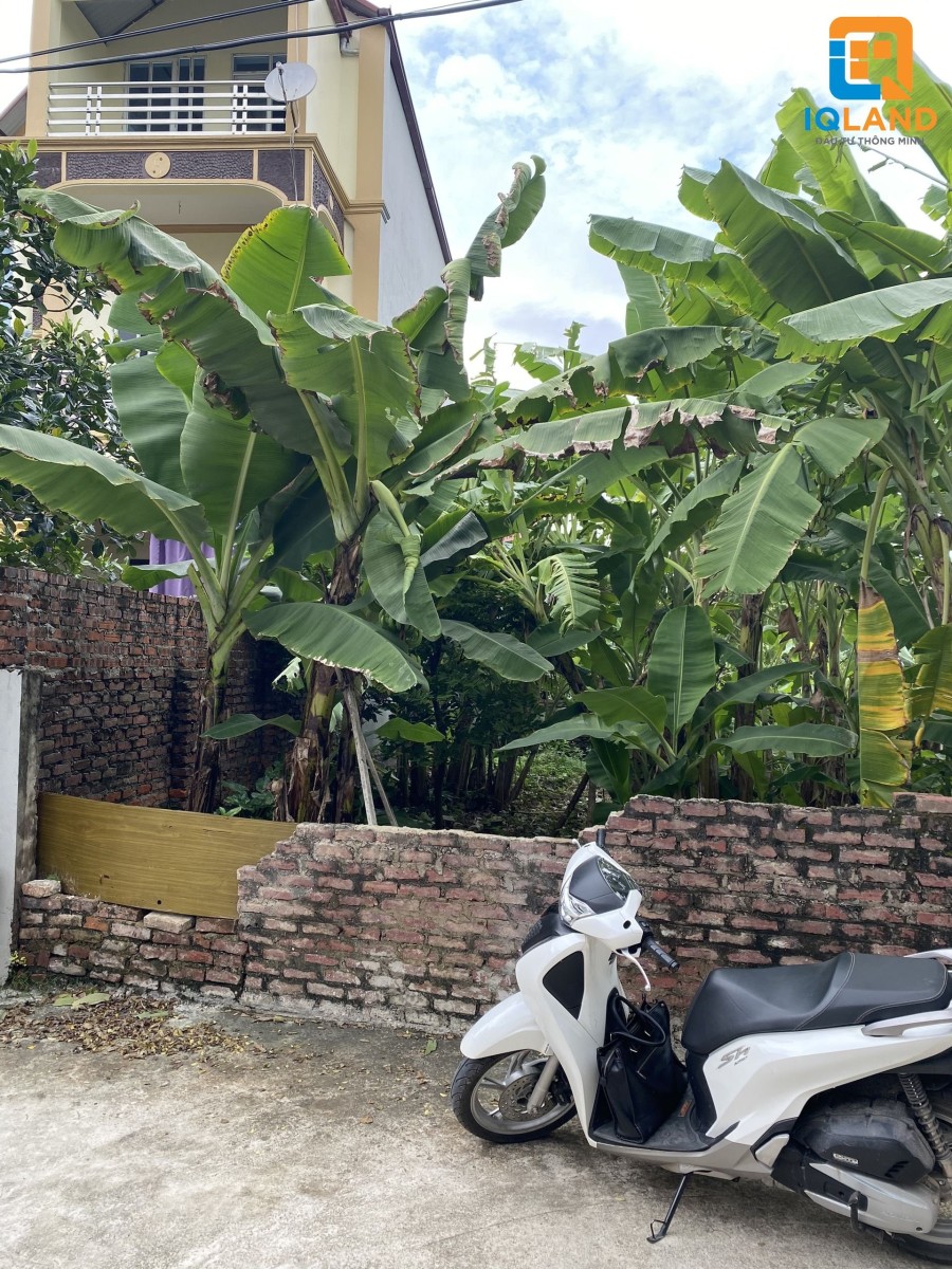 (Hàng Hiếm) Đất Thụy Hương, xã Phú Cường Sóc Sơn, ôtô tránh, sổ 64.5m2