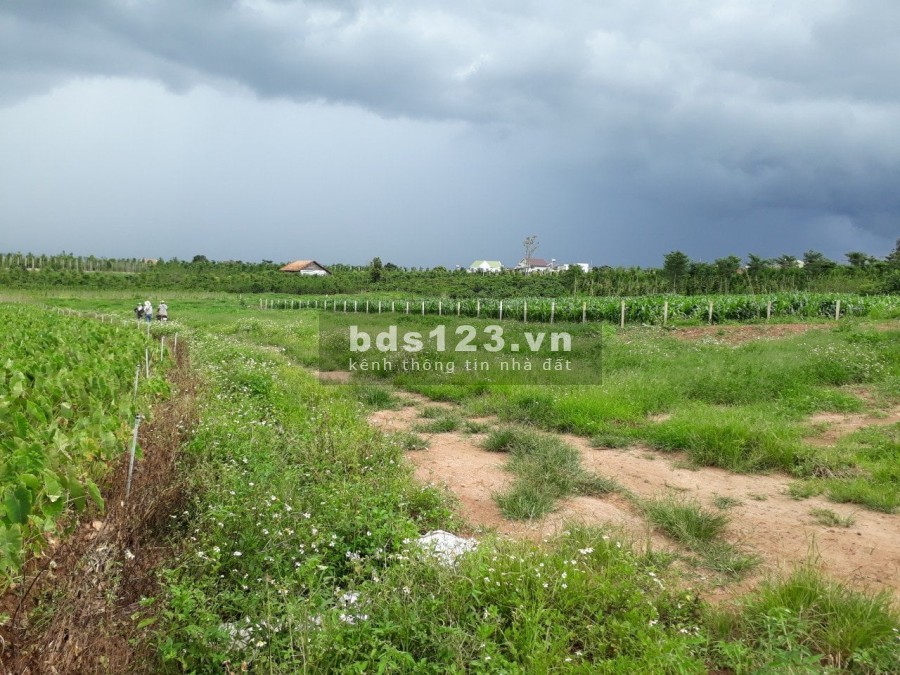 Bán 600 M2 Đất Ven Suối Cam Ly, Nam Ban, Lâm Đồng, Giá 720 Triệu