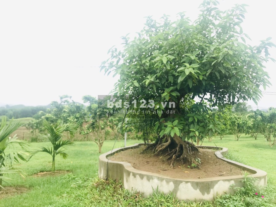 Bán đất bờ sông Bôi, Kim Bôi Hoà Bình, pháp lý rõ ràng tiện ích đủ khu dân cư đông đúc