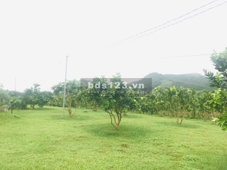 Bán đất bờ sông Bôi, Kim Bôi Hoà Bình, pháp lý rõ ràng tiện ích đủ khu dân cư đông đúc