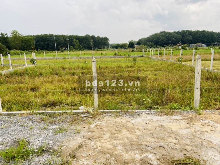 Đất vườn An Nhơn Tây - Củ Chi 680 triệu sổ hồng riêng bàn công chứng sang tên ngay