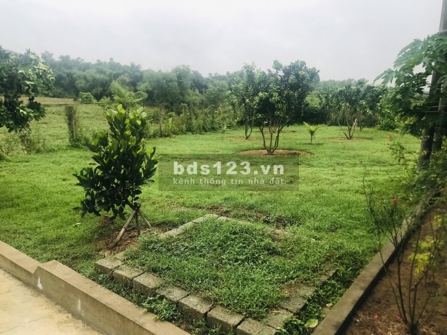 Bán đất bờ sông Bôi, Kim Bôi Hoà Bình, pháp lý rõ ràng tiện ích đủ khu dân cư đông đúc