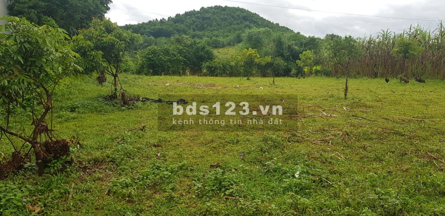 Cần bán lô đất 900m có 200 thổ cư tại Kim Bôi-Hòa Bình liên hệ xem đất 0833066663